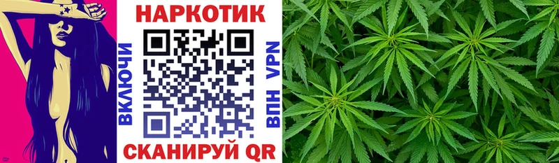 Где продают наркотики Камышин Каннабис Псилоцибиновые грибы Меф