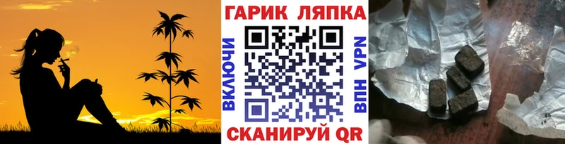 ГАШ Cannabis Камышин