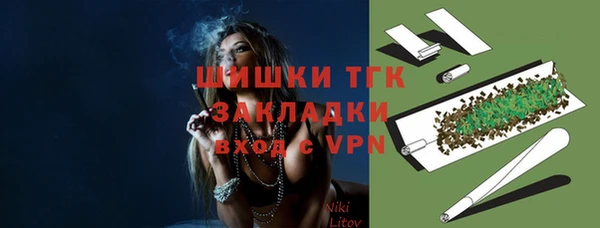 стафф Алексин