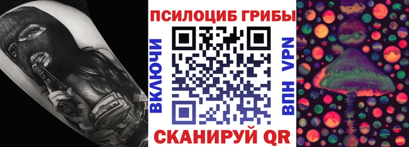 Псилоцибиновые грибы мухоморы  Камышин 