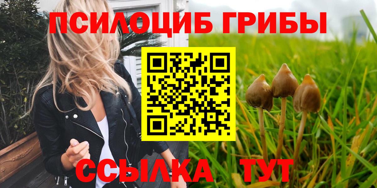 Галлюциногенные грибы прущие грибы Камышин