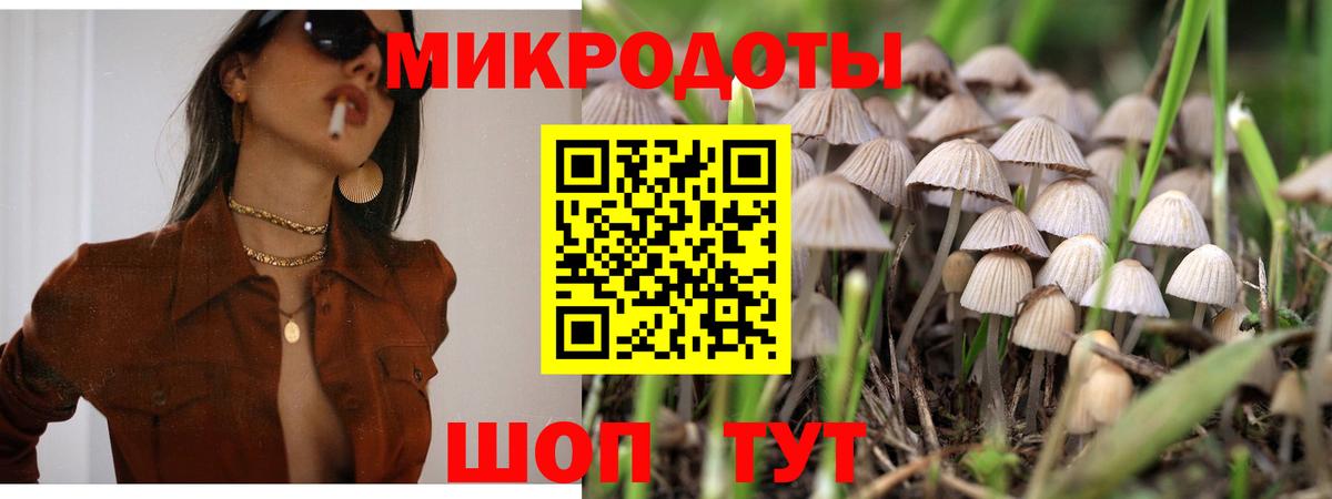 Псилоцибиновые грибы мухоморы  Вход с VPN  Камышин 